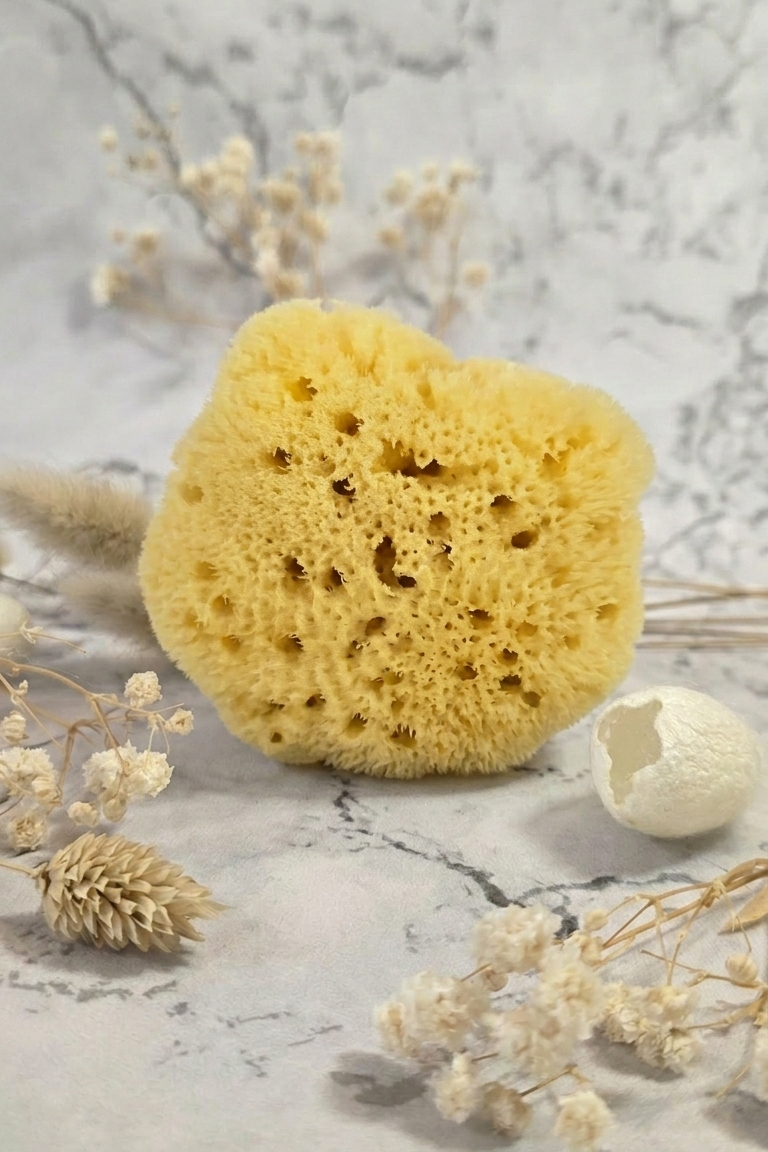 Eponge naturelle visage et bébé
