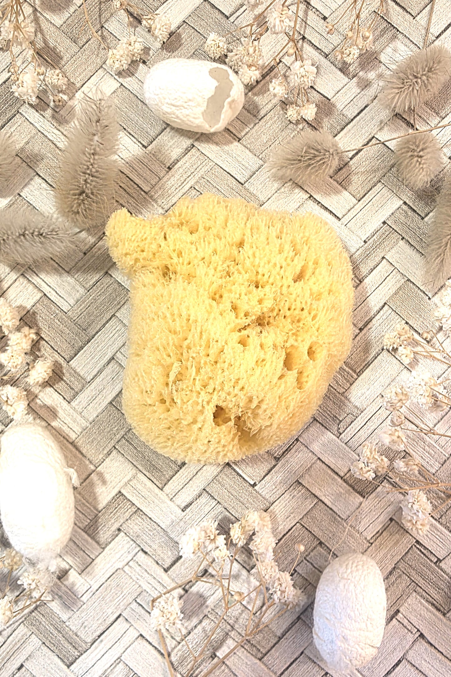 Coffret Naissance 6 articles