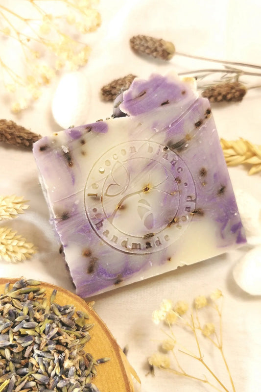 Le Deep Purple Night Le Cocon Blanc